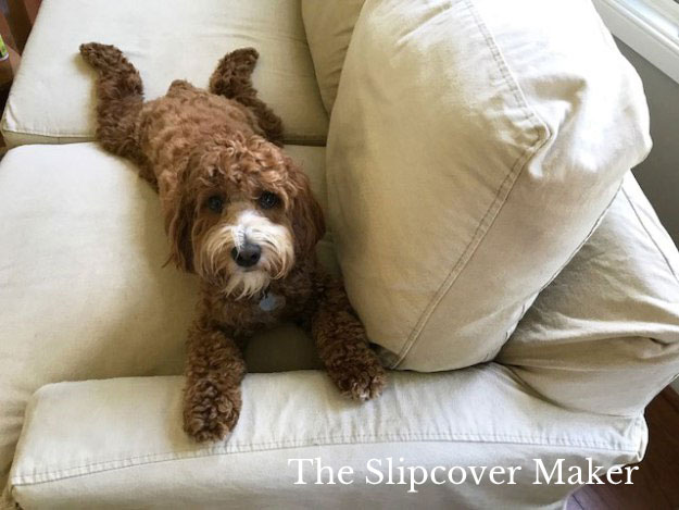 Pet Friendly Slipcover Fabrics for Slipcovers