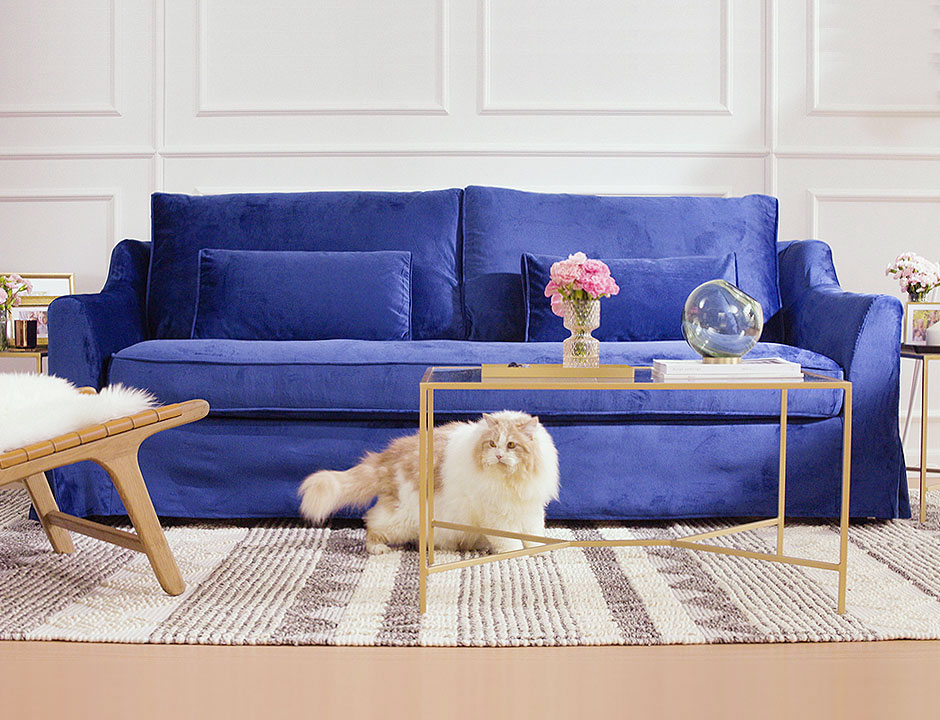 Blue velvet sofa in living room.